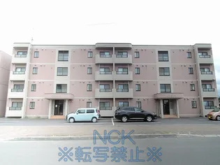 パークハイツJ【4階】の外観