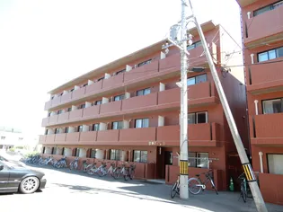 東洋ハイツBの画像