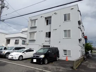 ラメール11の画像