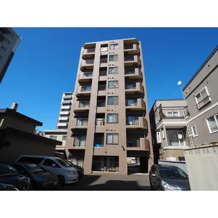 ピュアウイングの画像