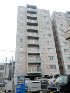 北海道札幌市東区北十三条東10丁目【マンション】の外観