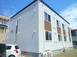 コモドNⅡの画像