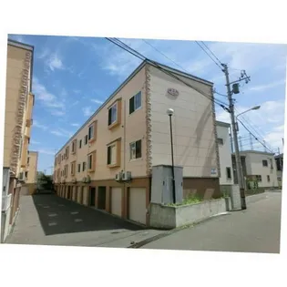 ペパーミントの画像