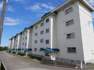 ビレッジハウス手稲1号棟【0102号室】の外観