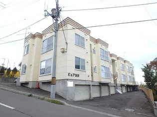 ピュア33の画像