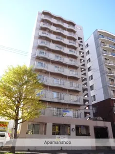 エステ・トーワ【803号室】の外観