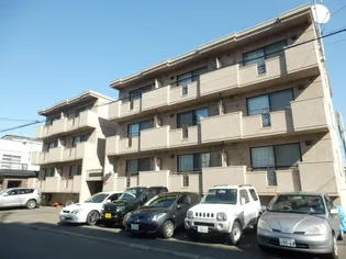 パインセントラルハイツ【1階】の外観