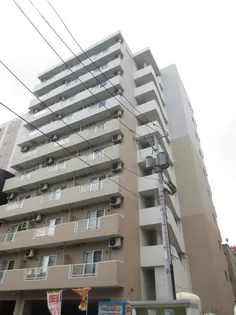 セントポーリアカルーアの画像