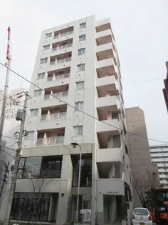 ノンナ ミーアの画像