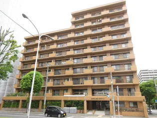 ダイアパレス北3条第2【7階】の外観