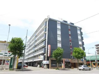 円山パークハイツ【510号室】の外観