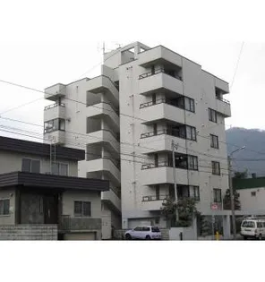 ホワイトテムの画像