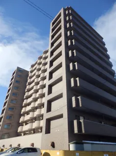 シルキーU6 1の画像