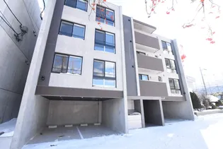 PINO KITAMARUYAMAの画像