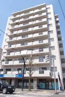 旭山シャトー桂和【904号室】の外観