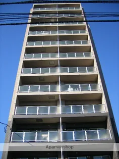 ルラシオン桜並木の画像