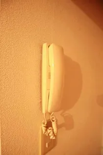 YTS40【0203号室】のその他画像