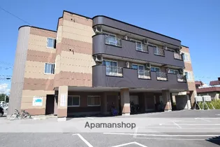 ビーナス新富【2階】の外観