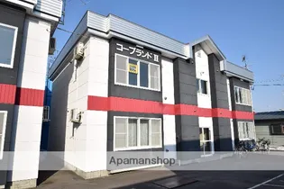 コープランドⅡの画像