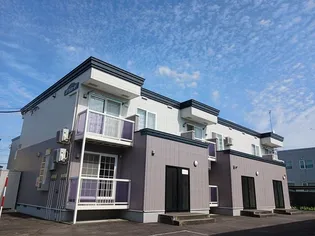 プラシードの画像