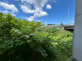 コートハウス愛宕B【108号室】のその他画像