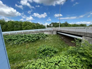 コートハウス愛宕B【2階】のその他画像