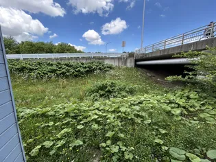 コートハウス愛宕B【111号室】のその他画像