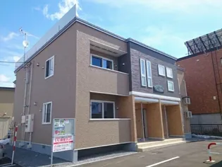 サム ソラーレ春光の画像