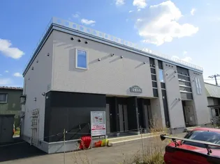 サンフラワーの画像