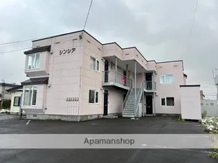 シンシアの画像