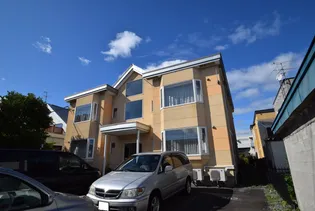 フェンネルの画像