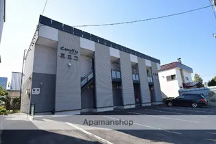 カメリアの画像