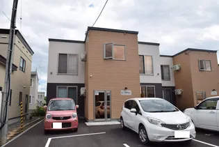 Vアザラシの画像