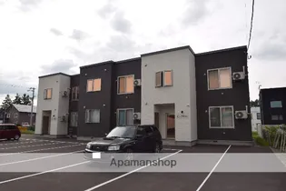 Cアザラシの画像