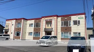 ココ ナツの画像