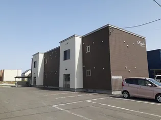 プラシードの画像