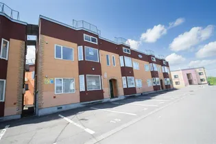 ブルーソールCの画像