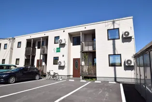 ひまわりの画像