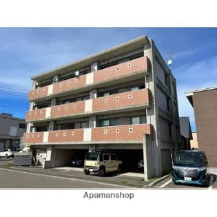 ベルーガ黄金の画像