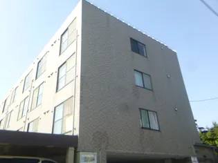 サンハイムルナの画像