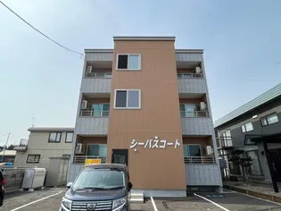 シーバスコート【2階】の外観