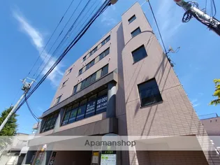 サンフラワー24の画像