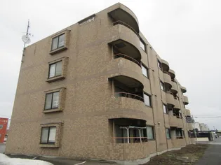 ウイングコートの画像