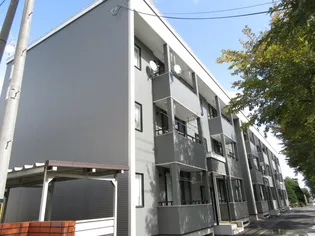 シェーンの画像