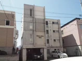 ブランスターレN26の画像