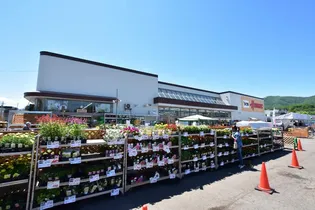 ウエルス西野【301号室】の周辺