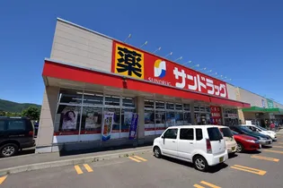 ウエルス西野【301号室】の周辺