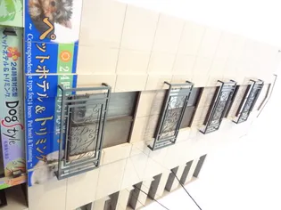 シュペールシャトー【4階】の外観