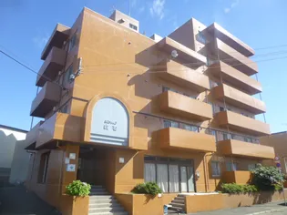 サンシャイン白石の画像