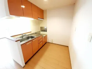 プラシード上野幌【1階】のキッチン